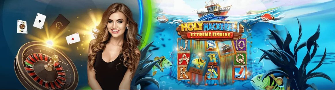 toto4d টেনিস বেটিং গাইডের বিশ্লেষণ ওভারভিউ